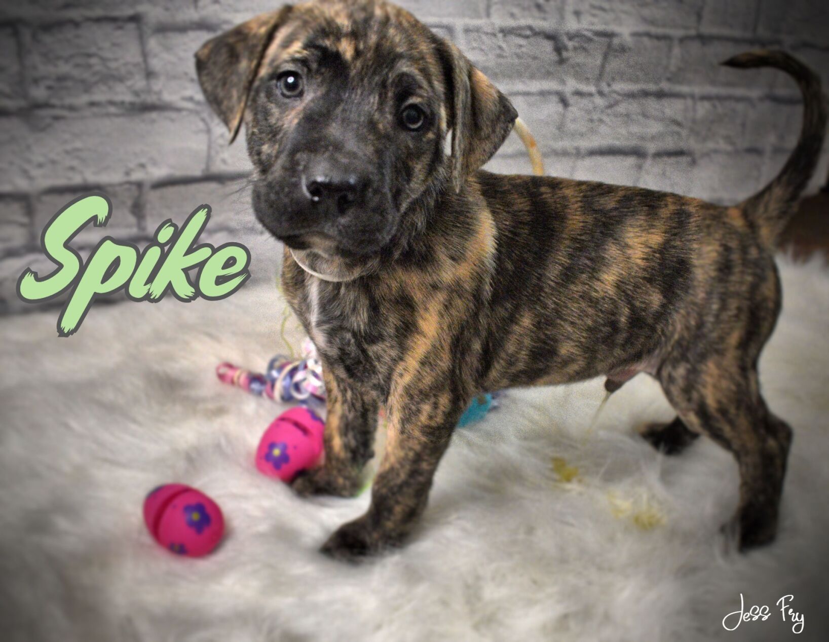 Spike